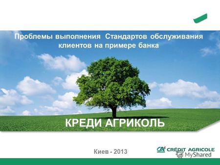 Киев - 2013 КРЕДИ АГРИКОЛЬ Проблемы выполнения Стандартов обслуживания клиентов на примере банка.