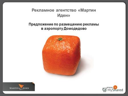 Рекламное агентство «Мартин Иден» Предложение по размещению рекламы в аэропорту Домодедово вперед >