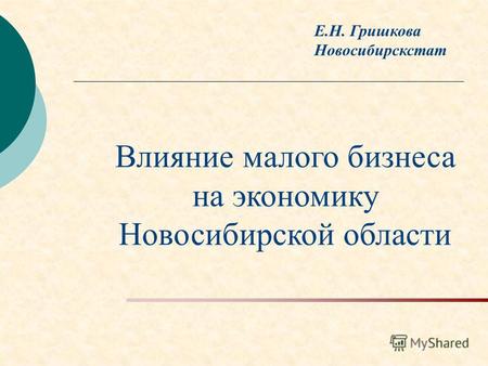 Е.Н. Гришкова Новосибирскстат Влияние малого бизнеса на экономику Новосибирской области.