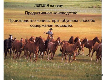 Реферат: История и гигиена коневодства в Республике Казахстан