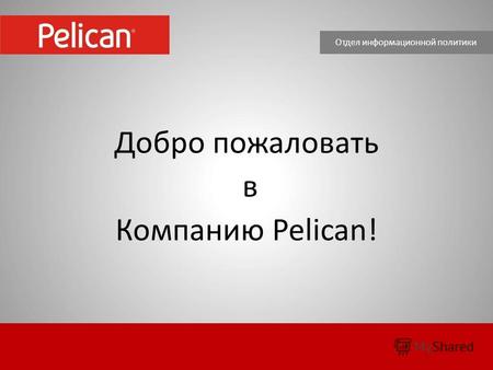 Добро пожаловать в Компанию Pelican! Отдел информационной политики.