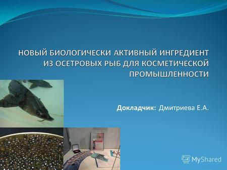 Докладчик: Дмитриева Е.А.. Прижизненное получение икры у осетровых рыб.