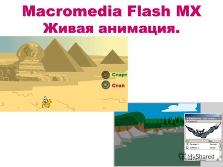 Macromedia Flash MX Живая анимация. Старт Стоп. Задание 1. Полет летучей мыши: