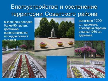 Благоустройство и озеленение территории Советского района выполнены посадки более 90 тыс.шт. цветников- однолетников на площади более 2 тыс.кв.м., высажено.