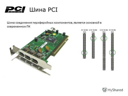 Шина PCI Шина соединения периферийных компонентов, является основной в современном ПК.
