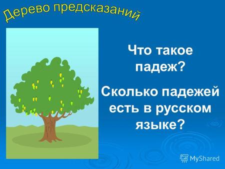 Что такое падеж? Сколько падежей есть в русском языке?
