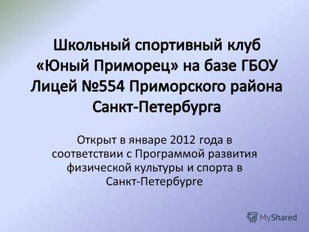 Открыт в январе 2012 года в соответствии с Программой развития физической культуры и спорта в Санкт-Петербурге.