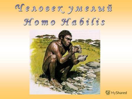 Челове́к уме́лый (лат. Homo habilis) высокоразвитый австралопитек или первый представитель рода Homo. Обнаружен археологами Лики (Мэри и Джонатаном) в.