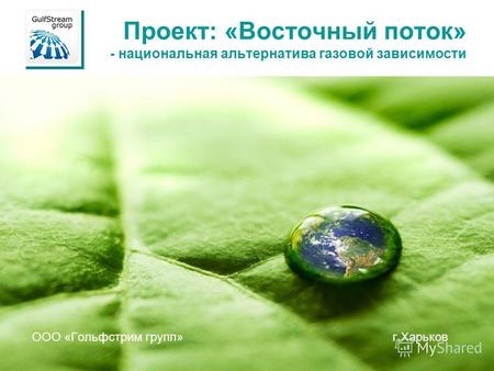 Проект: «Восточный поток» - национальная альтернатива газовой зависимости ООО «Гольфстрим групп» г.Харьков.