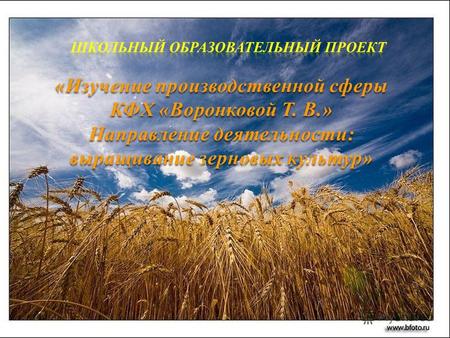 «Изучение производственной сферы КФХ «Воронковой Т. В.» Направление деятельности: выращивание зерновых культур»