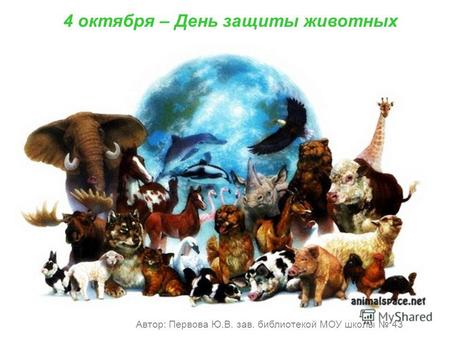 4 октября – День защиты животных Автор: Первова Ю.В. зав. библиотекой МОУ школы 43.