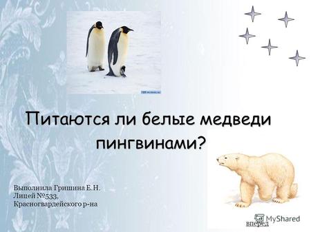 Выполнила Гришина Е.Н. Лицей 533, Красногвардейского р-на Питаются ли белые медведи пингвинами? вперед.