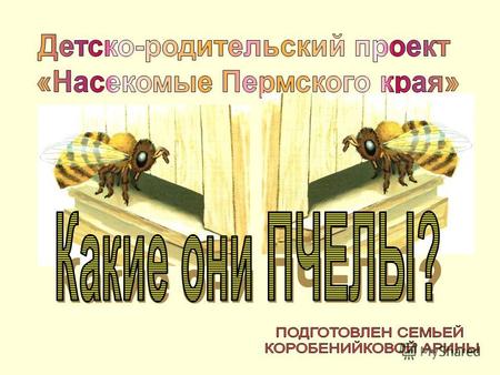 Люди называют пчёл хлопотуньями, а когда говорят о трудолюбивом человеке, сравнивают его с пчелой. Вспомним, как выглядит пчела. У неё есть голова, грудь,