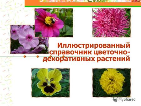 Иллюстрированный справочник цветочно- декоративных растений.