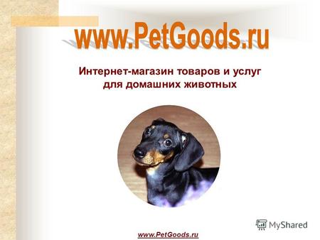 Интернет-магазин товаров и услуг для домашних животных www.PetGoods.ru.