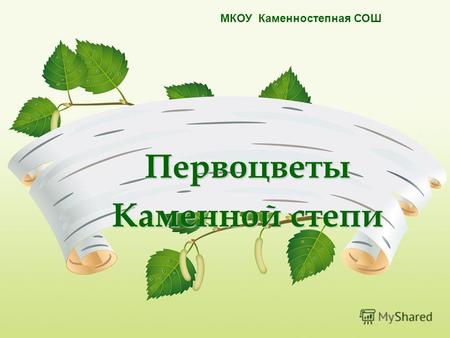 Первоцветы Каменной степи МКОУ Каменностепная СОШ.