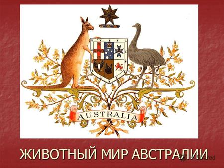 ЖИВОТНЫЙ МИР АВСТРАЛИИ. Австралия - это единственная страна мира, занимающая территорию целого одноимённого материка, а также о. Тасмания и прилегающих.