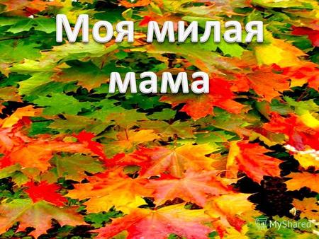 Указ Президента Российской Федерации от 30 января 1998года «В целях повышения социальной значимости материнства установить праздник День матери и отмечать.