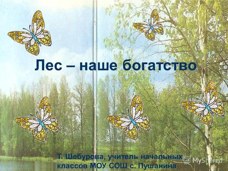 Лес – наше богатство Т. Шебурова, учитель начальных классов МОУ СОШ с. Пушанина.