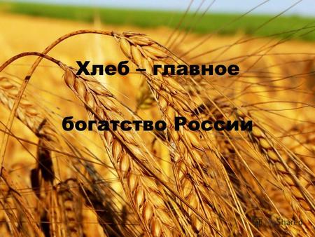 Хлеб – главное богатство России. И.И.Шишкин «Рожь»