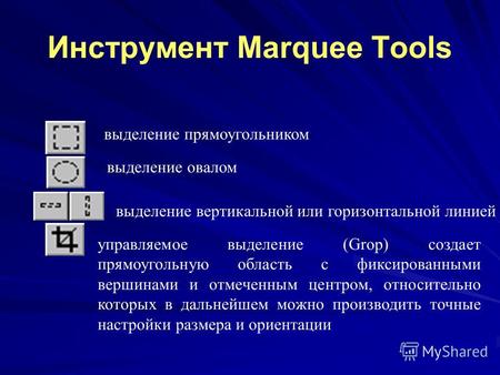 Инструмент Marquee Tools выделение прямоугольником выделение овалом выделение вертикальной или горизонтальной линией управляемое выделение (Grop) создает.