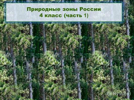 Природные зоны России 4 класс (часть 1). Природные зоны России Арктика Тундра Природная зона лесов.