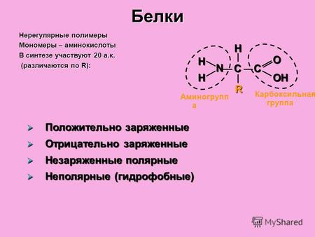 Белки Нерегулярные полимеры Мономеры – аминокислоты В синтезе участвуют 20 а.к. (различаются по R): (различаются по R): Аминогрупп а Карбоксильная группа.