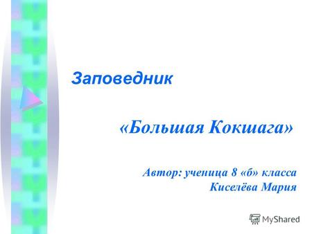 «Большая Кокшага» Заповедник Автор: ученица 8 «б» класса Киселёва Мария.