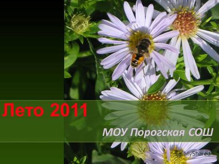 Лето 2011 МОУ Порогская СОШ. Нижнеудинский район 20 11.