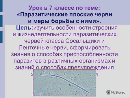 Урок в 7 классе по теме: «Паразитические плоские черви и меры борьбы с ними». Цель:изучить особенности строения и жизнедеятельности паразитических червей.