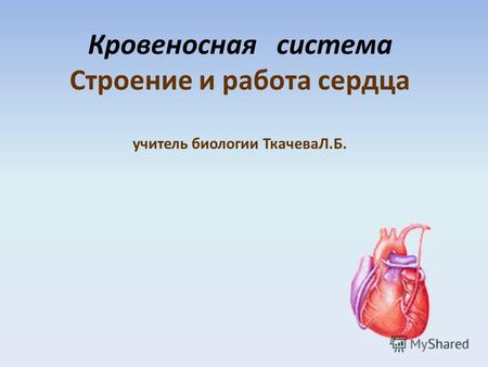 Кровеносная система Строение и работа сердца учитель биологии ТкачеваЛ.Б.