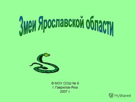 © МОУ СОШ 6 г. Гаврилов-Яма 2007 г.. Я хочу побольше узнать о жизни змей, которые обитают в нашей области.