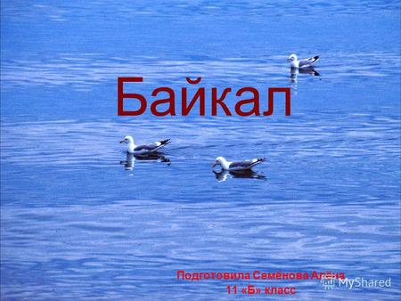 Подготовила Семёнова Алёна 11 «Б» класс Байкал. Байкал - самое глубокое в мире озеро. По объему воды он занимает второе место среди озер земного шара,