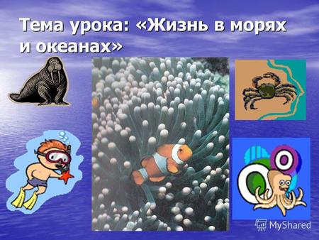 Тема урока: «Жизнь в морях и океанах». Цели урока: дать представление о разнообразии растений и животных морей и океанов, об их распространении: в мелководной.