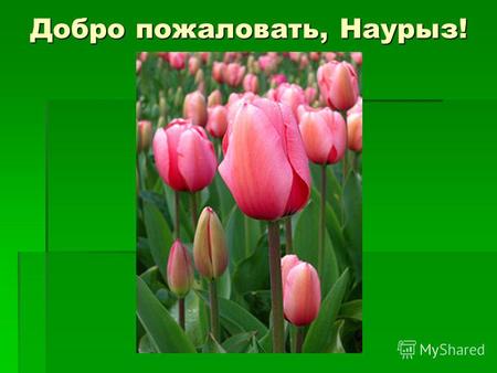 Добро пожаловать, Наурыз!. Наурыз древний праздник весны и труда, возникший у многих народов Востока, отмечаемый в день весеннего равноденствия, 22 марта.