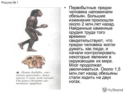 Первобытные предки человека напоминали обезьян. Большие изменения произошли около 2 млн.лет назад. Найденные каменные орудия труда того времени свидетельствуют,