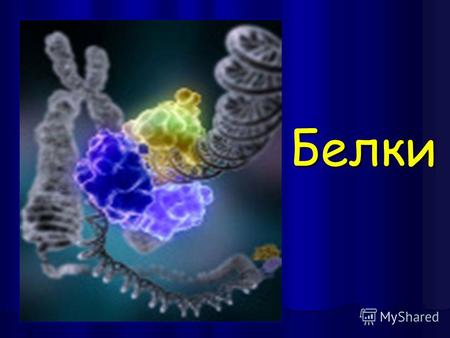 Белки Жизнь – это способ существования белковых тел. Ф.Энгельс.