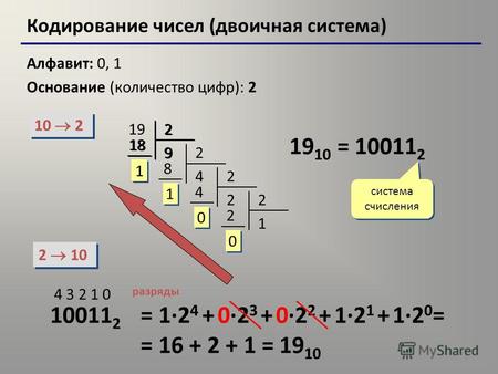 1 Кодирование чисел (двоичная система) Алфавит: 0, 1 Основание (количество цифр): 2 10 2 2 10 192 9 18 1 1 2 4 8 1 1 2 2 4 0 0 2 1 2 0 0 19 10 = 10011.