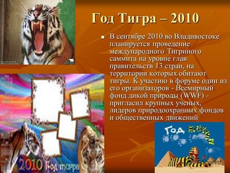 Год Тигра – 2010 Год Тигра – 2010 В сентябре 2010 во Владивостоке планируется проведение международного Тигриного саммита на уровне глав правительств 13.