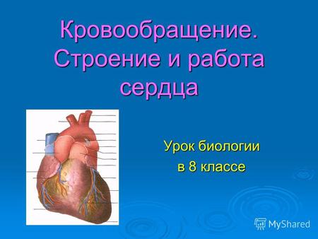 Кровообращение. Строение и работа сердца Урок биологии в 8 классе.