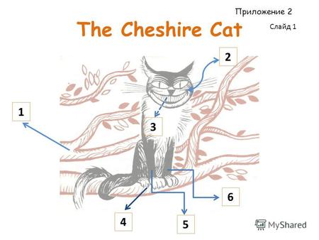 The Cheshire Cat 1 2 3 6 5 4 Приложение 2 Слайд 1.