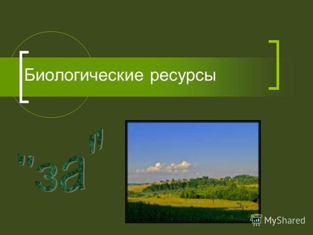 Биологические ресурсы. На Русской равнине прослеживается самый полный набор природных зон, по сравнению с другими крупными природными районами нашей стран.