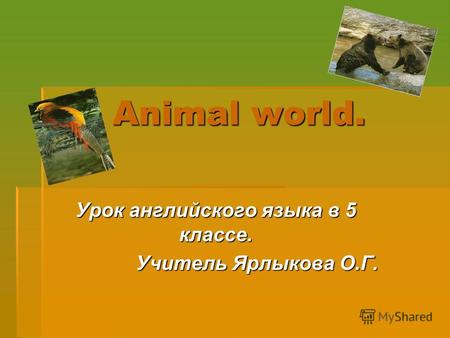 Animal world. Урок английского языка в 5 классе. Учитель Ярлыкова О.Г.