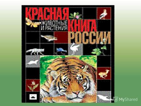 Данные слайды дополняют уроки к учебнику Н.Я.Дмитриевой, А.Н. Казаковой «Мы и окружающий мир» (1-й класс) по темам: «Разнообразие природы» (уроки10-11)