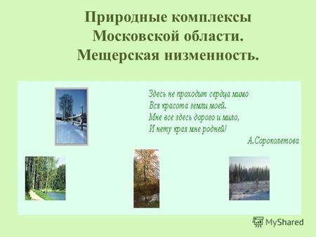 Природные комплексы Московской области. Мещерская низменность.