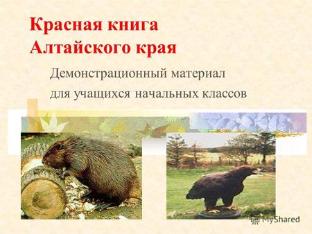 Демонстрационный материал для учащихся начальных классов Красная книга Алтайского края.