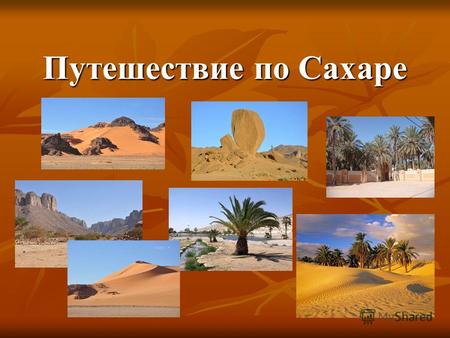 Путешествие по Сахаре. Сахара –«ас-сахра» - пустынная степь, либо «рыжеватая», «красная». Пустыня тянется на 5 тысяч километров от побережья Атлантического.