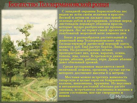 С западной окраины Борисоглебска лес виден во всём своём величии и красоте. Весной и летом он ласкает глаз яркой зеленью дубов и кустарников, осенью перед.