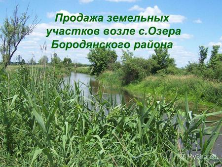 Продажа земельных участков возле с.Озера Бородянского района.