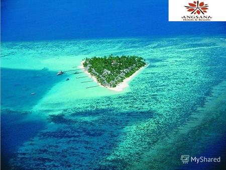 РАСПОЛОЖЕНИЕ: На острове Велавару (Velavaru) или «Черепаший остров», в атолле Дхаалу (Dhaalu Atoll), в 150 км. от международного аэропорта Хулуле (Hulhule)